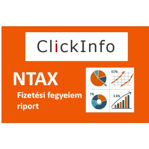 ClickInfo NTAX Mini - Fizetési fegyelem riport (havonta)