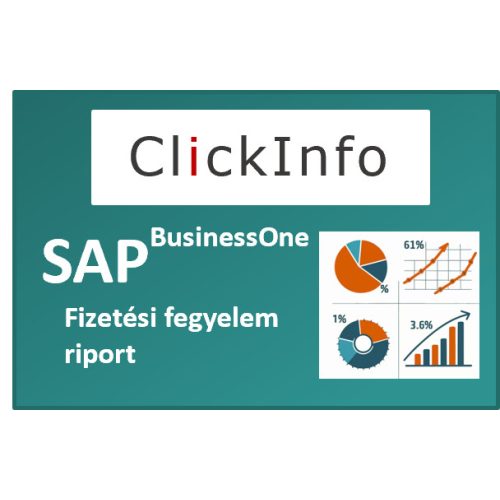 ClickInfo SAP BO - Fizetési fegyelem riport (havonta)